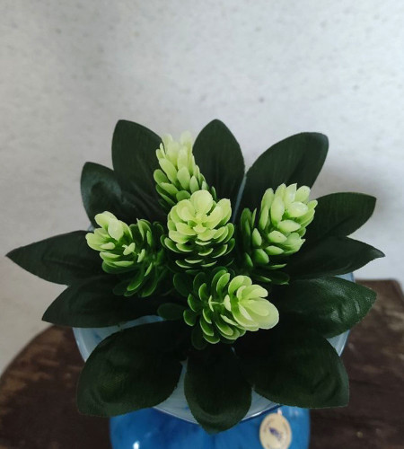 Шишка бордюрна, букет 5 головок