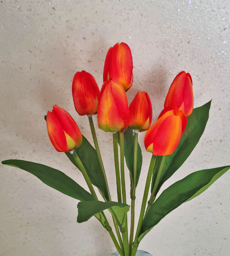 Букет тюльпанів, букет 7 головок