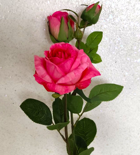 Гілка троянди, 3 головки