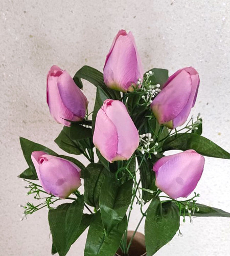 Букет тюльпанів, букет 6 головок