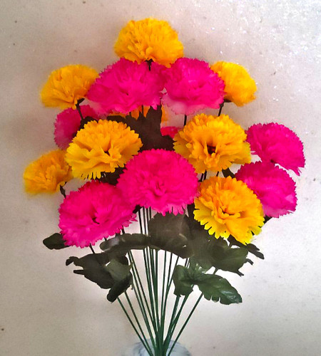 Гвоздика двоколірна, букет 18 головок