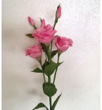 Гілка еустоми, букет 6 головок Гілка еустоми, букет 6 головок