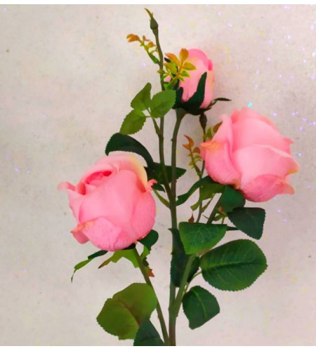 Гілка троянди, 3 головки