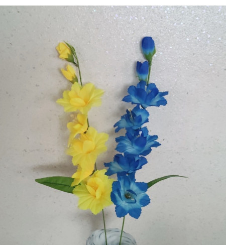 Гладіолуси, гілка 7 головок