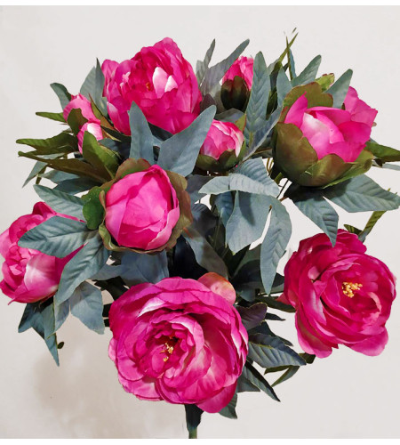 Кущ півонії, 15 головок