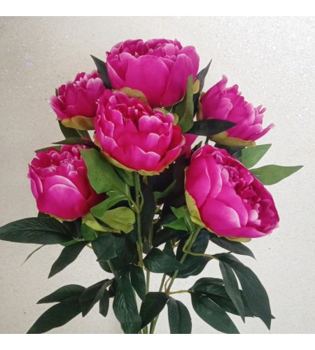 Півонії натуральні, букет 7 головок