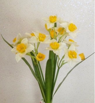 Нарцис натуральний, букет 7 гілочок