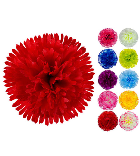 Гвоздика велика, 14см