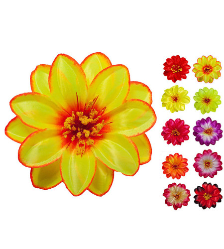 Крокус атласний, 13 см