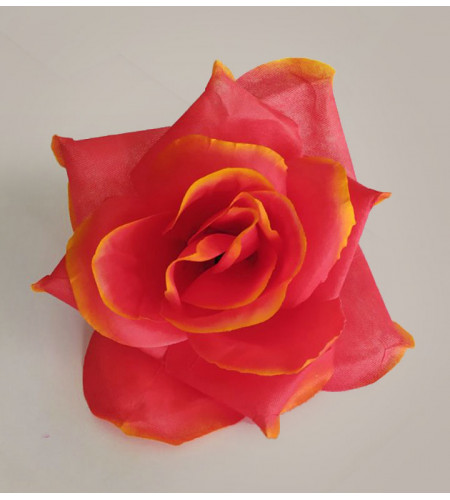 Троянда відкрита, 11 см