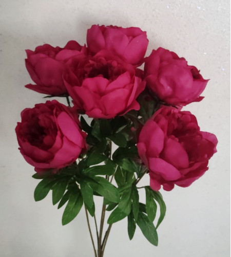 Півонія натуральна, букет 7 головок