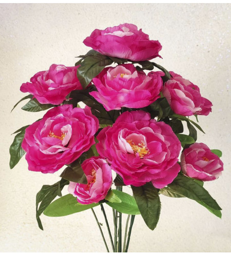 Кущ півонії з бутонами, букет 12 головок